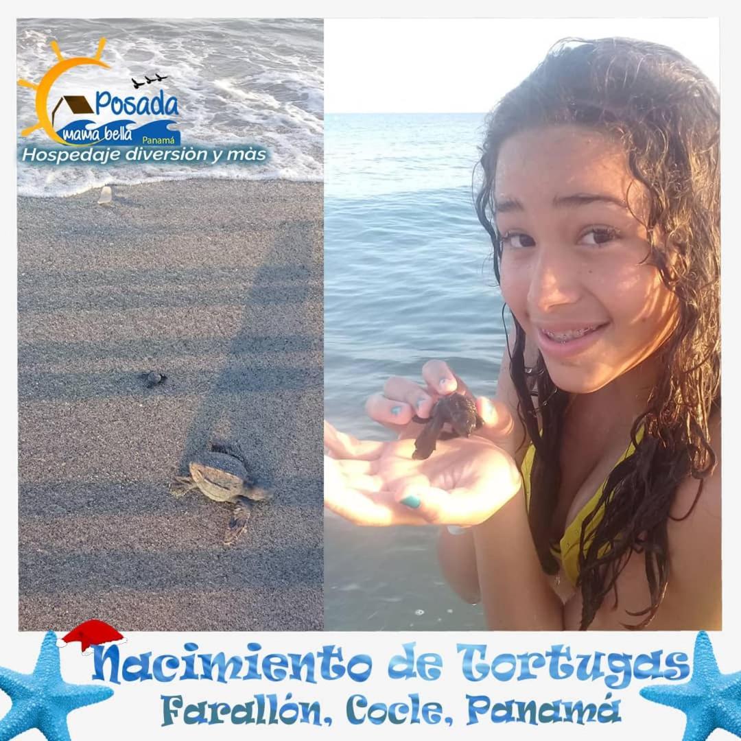 Posada Mama Bella Playa Blanca  Eksteriør bilde